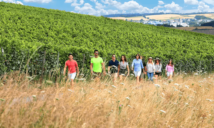 Guided Hiking Tours